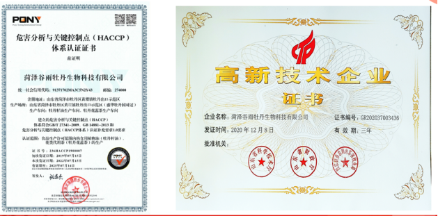 微信图片_20241225132843.png