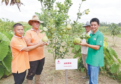 1758877650564187.png 图片3.png